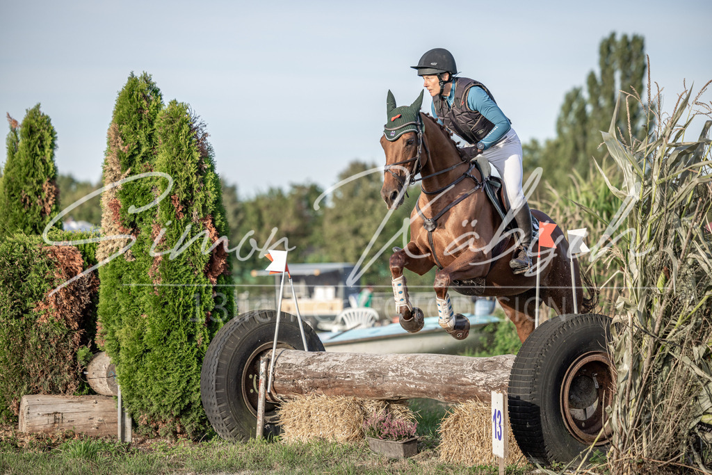 20250907-_3LI8301 | Tierfotografie Pferde, Hunde, Katzen, Haustiere.
Turnierfotografie Reitturniere, Reiten, Springreiten, Dressur in Hanau, dem Main-Kinzig-Kreis und dem Rhein-Main- Gebiet um Frankfurt