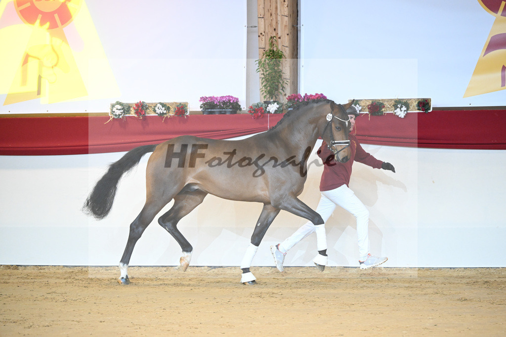 Kat-Nr. 53 For Dance_Haefner_1231330 | hf-fotografie - Realisiert mit Pictrs.com