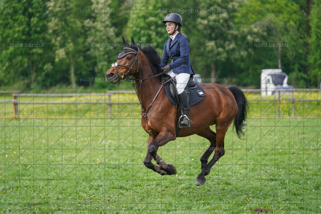 20240509-FAH02739 | Turnierbilder der Turnierfotografen Bayern, Pferdesport Fotografie, Reitsportbilder, Turnier Landberg am Lech, Turnierbilder bayern, Fotoagentur Herrmann