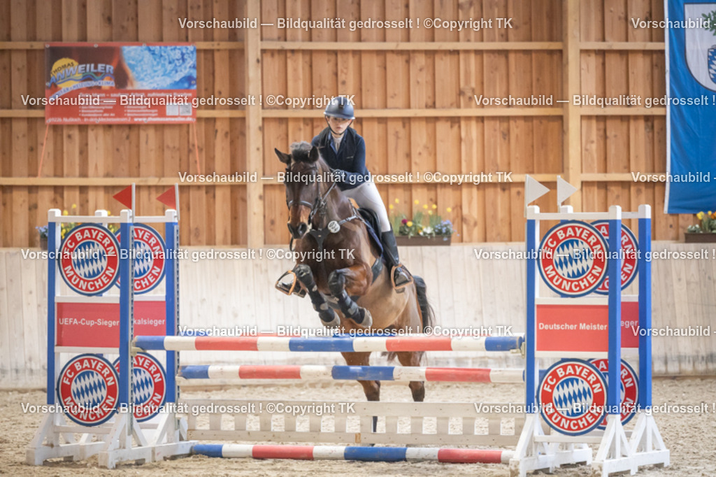 _D5A7836 | Emotionale Pferde- & People-Fotografie rund um Heidelberg, Leimen & Umgebung. Natürliche Fotos von Pferd, Mensch & Familie. Jetzt Termin sichern!