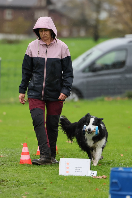 2025_Rally_Obedience_SM-49 | Ich fotografiere Hundeausstellungen, Sportanlässe, Zuchtstätten, Hundezucht, Hundeportrait, Lagotto - Realisiert mit Pictrs.com