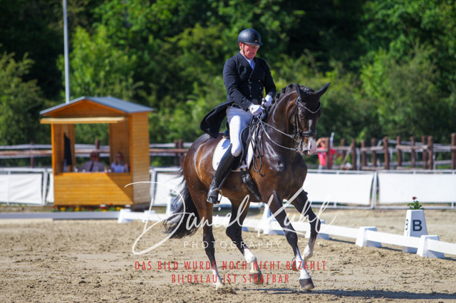 DKP42515 | Turniersportfotografie; Pferdefotografie; Dressurfotografie
