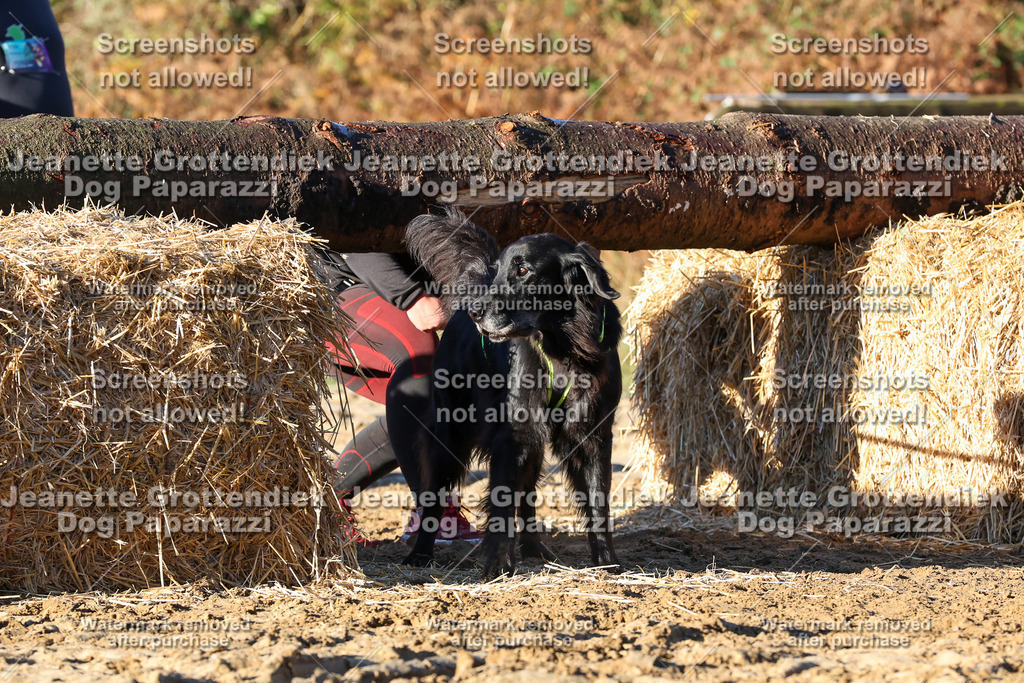 Dog Paparazzi - Strongdog 10-25-1162 | Dog Paparazzi Jeanette Grottendiek Fotografie & Videografie - Realisiert mit Pictrs.com