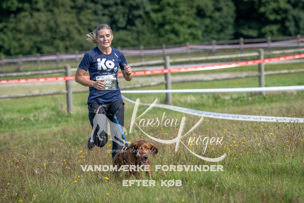 1147_ZZ91590 | kk-dogfotos