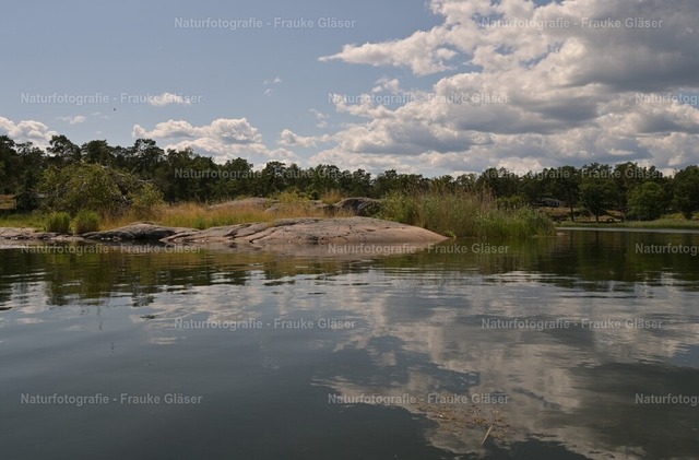 DSC_2006Oskarsham__Juli2025 | Naturfotografie Frauke Gläser - Realisiert mit Pictrs.com