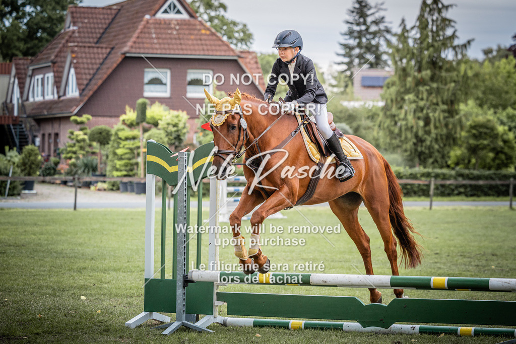 nelerasche_StilSpr60Ede_51 | nelerasche