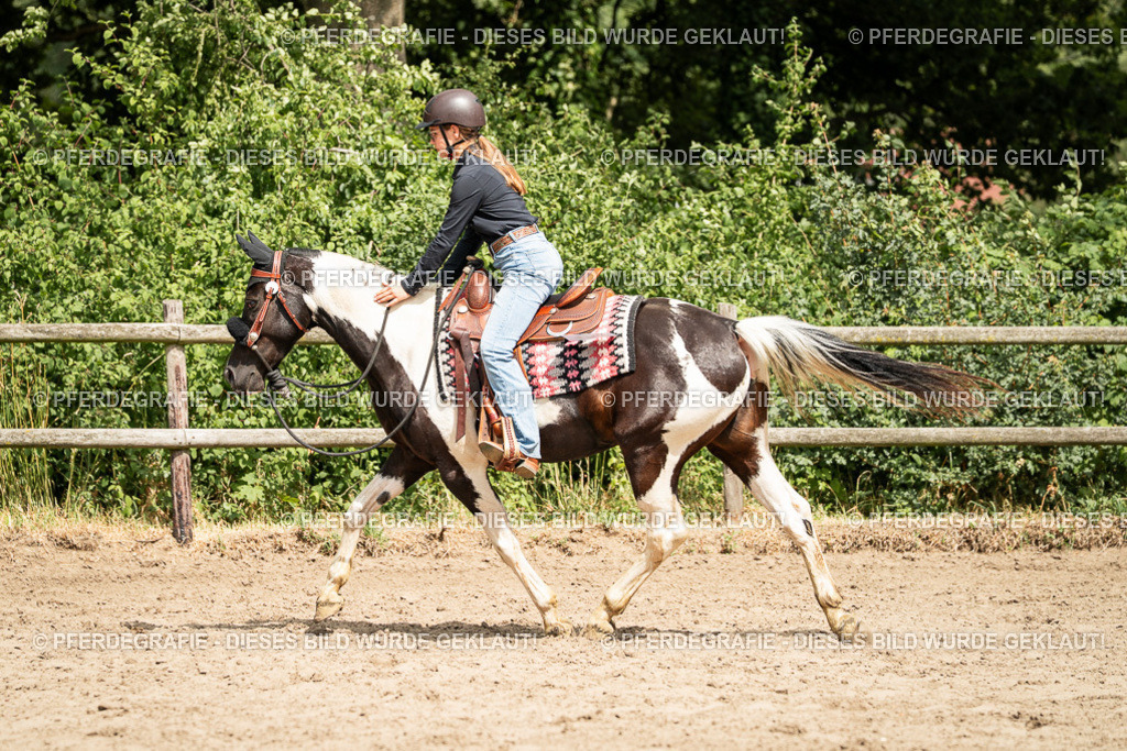 DSC01561 | Pferdegrafie