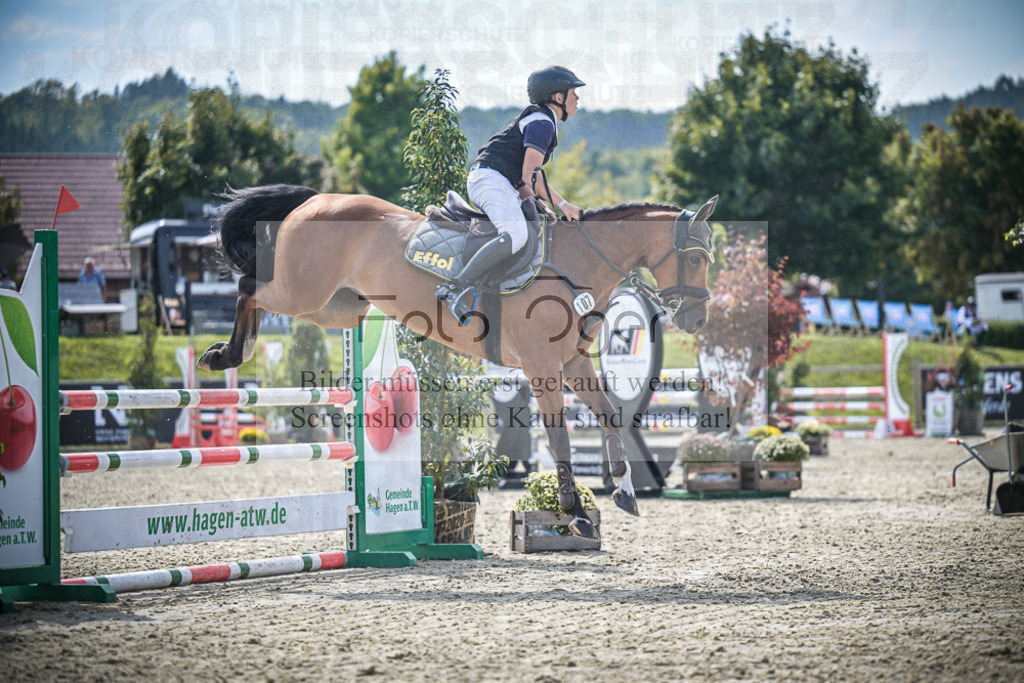 DOS_8642 | Entdecke hochwertige Reitturnierfotos von Foto Oger. Professionell, emotional und authentisch – jetzt Lieblingsmomente im Shop bestellen.Deutschlandweite Turnierfotografie. - Realisiert mit Pictrs.com