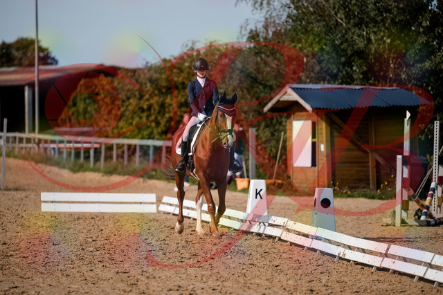 2026_10_03_Siefer-Hof_123649_Z63_54397639 | Professionelle Reitsport-, Turnier- und Eventfotografie von Robert Broda. Galerien mit ausgewählten und bearbeiteten Bildern direkt online ansehen und bestellen.
