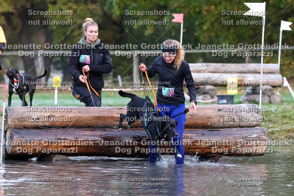 Dog Paparazzi - Strongdog 10-25-6299 | Dog Paparazzi Jeanette Grottendiek Fotografie & Videografie - Realisiert mit Pictrs.com