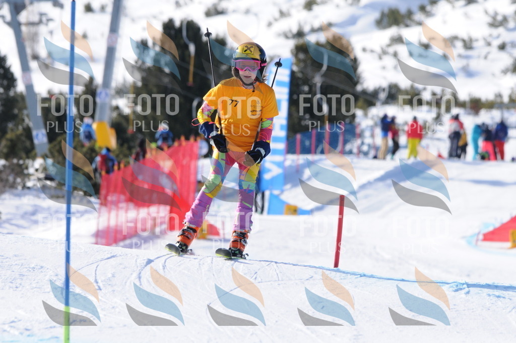 C6978 | holidayphoto