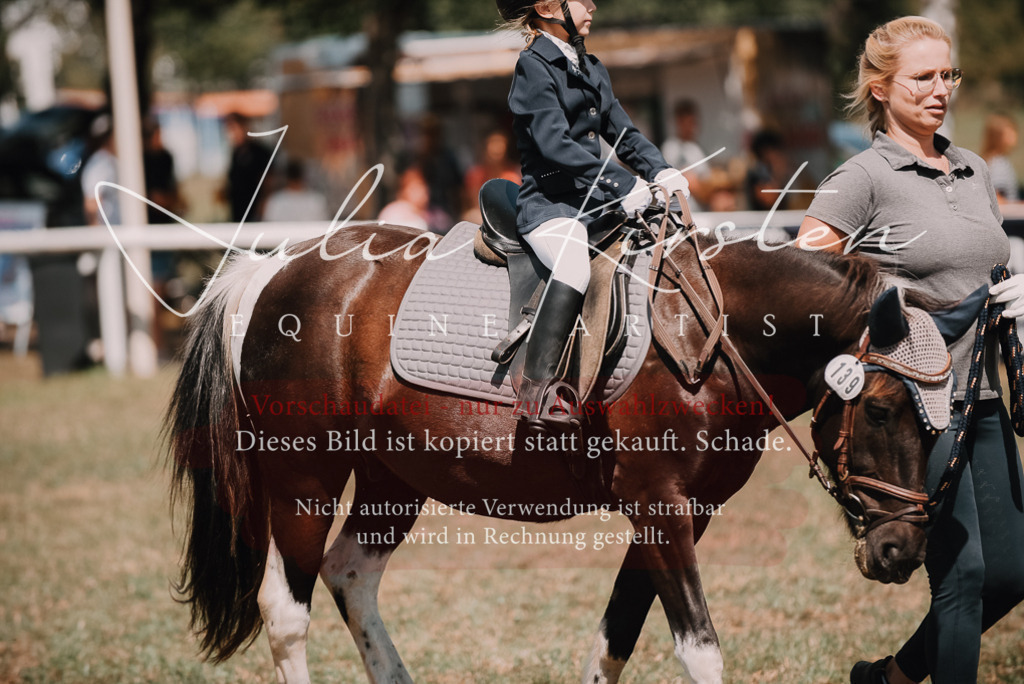 DSC_6187 | Pferde- und Turnierfotografie in Westsachsen. Pferdeportraits, Auftragszeichnungen und intuitive Kunst.