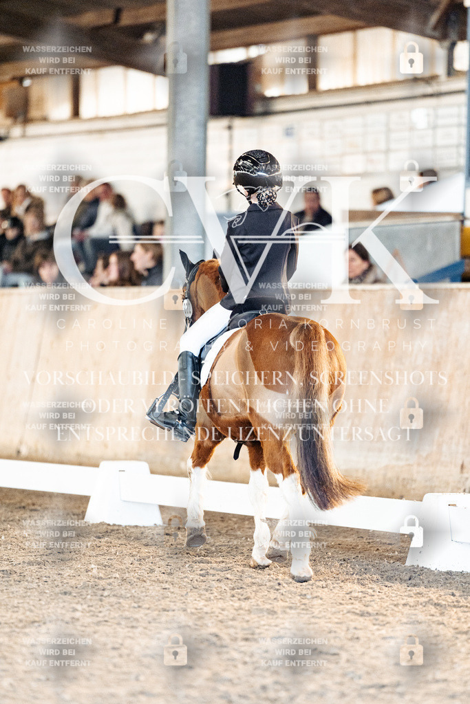 CK907306 | Turnierfotografie Pferdefotografie Trier Rheinland-Pfalz Pferdesport Reitsport Tierfotografie Sportfotografie Pferdevideo Pferdevideografie Equestrianvideography equestrianphotography  - Realisiert mit Pictrs.com