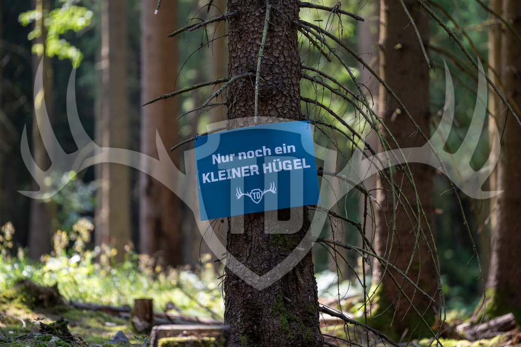 _DSC7727 | Fotogalerie der Treibjagd im Dunkelwald - Dein MTB Etappenrennen im Erzgebirge - Realisiert mit Pictrs.com