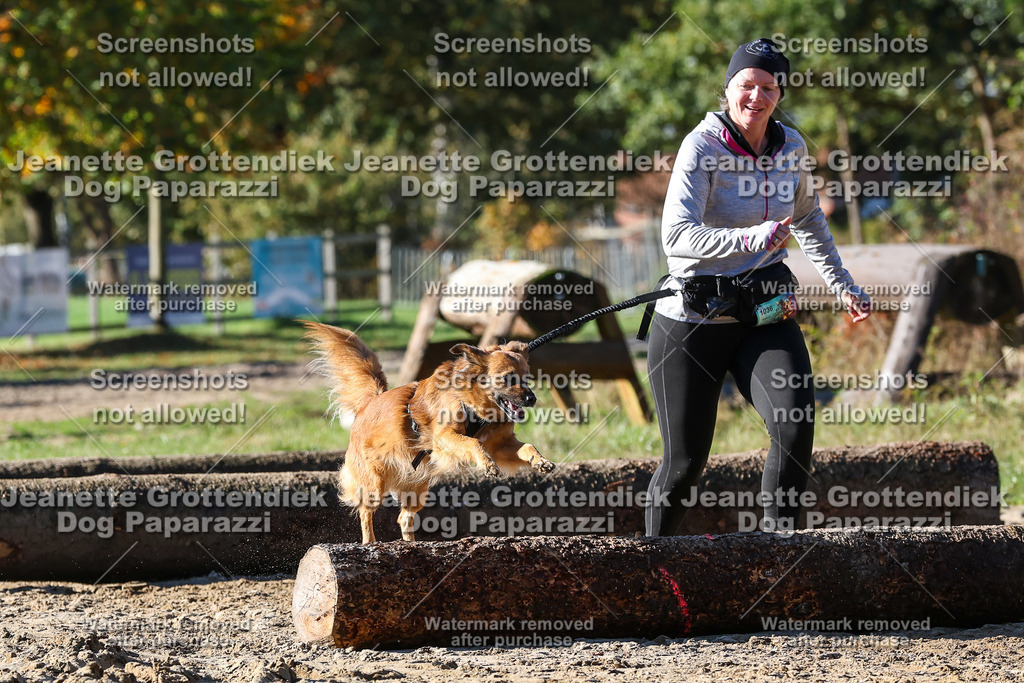 Dog Paparazzi - Strongdog 10-25-2276 | Dog Paparazzi Jeanette Grottendiek Fotografie & Videografie - Realisiert mit Pictrs.com