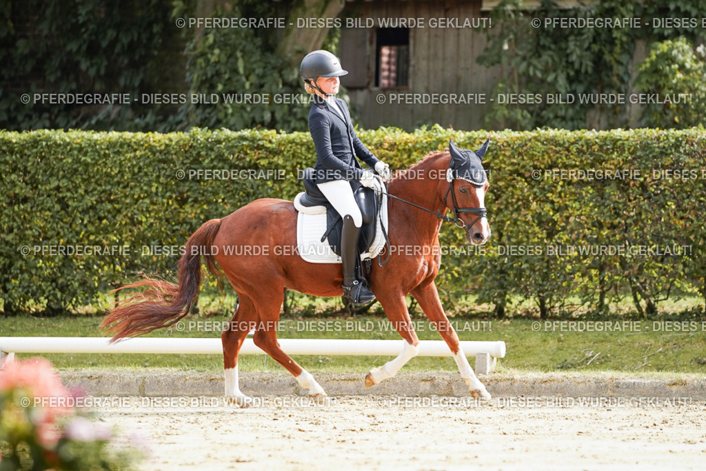 DSC04080 | Pferdegrafie