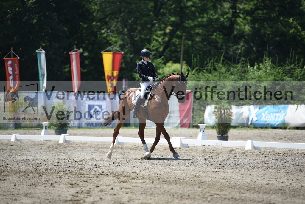 DSC_0907 | equestrian-live-com