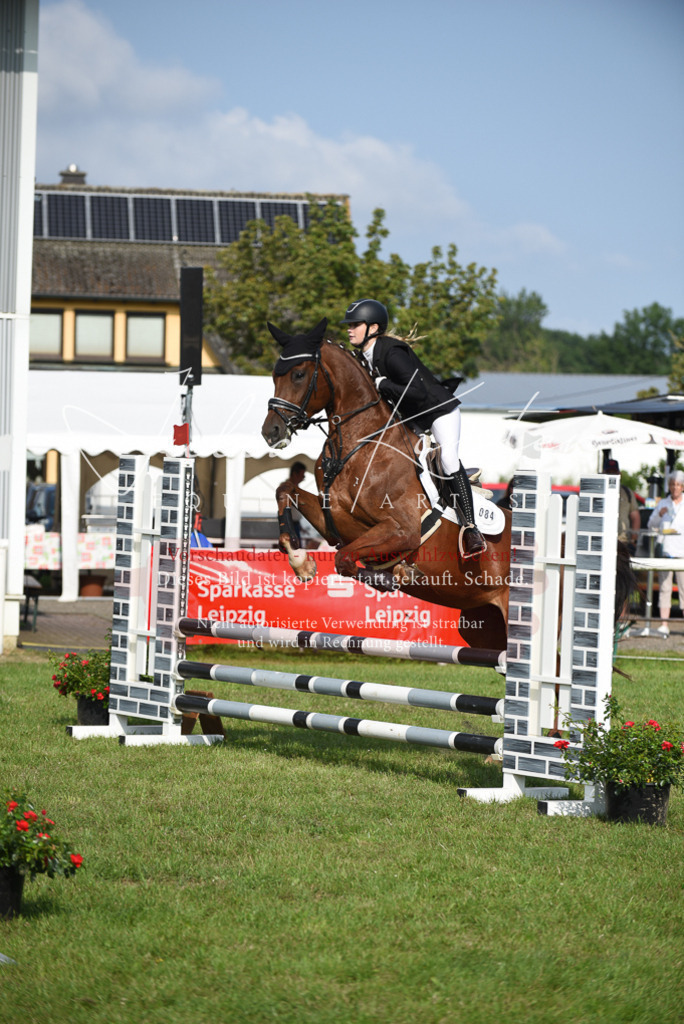 DSC_8785 | Pferde- und Turnierfotografie in Westsachsen. Pferdeportraits, Auftragszeichnungen und intuitive Kunst.