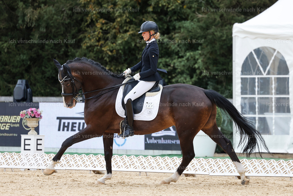 3-147-Dressur M_-StoibPH-2365 | working equitationturnier fotograf videograf stoibphotography marixx film working equitation deutschland reitsport turnierfotografie eventfotografie equestrian events