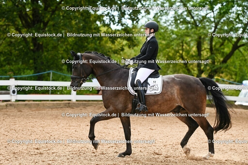 20230715_07_Dressurpferdeprfg. Kl.L_0117 | equistock
