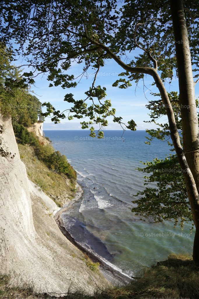 Blick von der Klippenkante | Das Bild zeigt den Blick vom Klippenrand auf das Gakower Ufer im Nationalpark Jasmund.