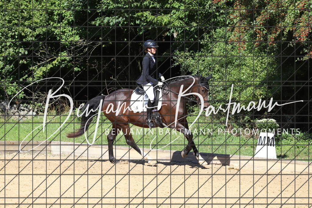 IMG_5704 | Benjamin Bartmann Photomoments