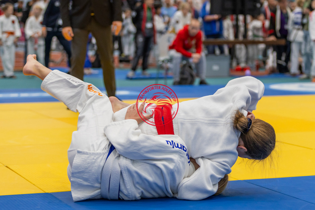 Internationaler Adler Cup 2024 | Foto vom Internationalen Adler Cup Judo Turnier im Sport- und Freizeitzentrum Kalbach im Oktober 2024 - Realisiert mit Pictrs.com