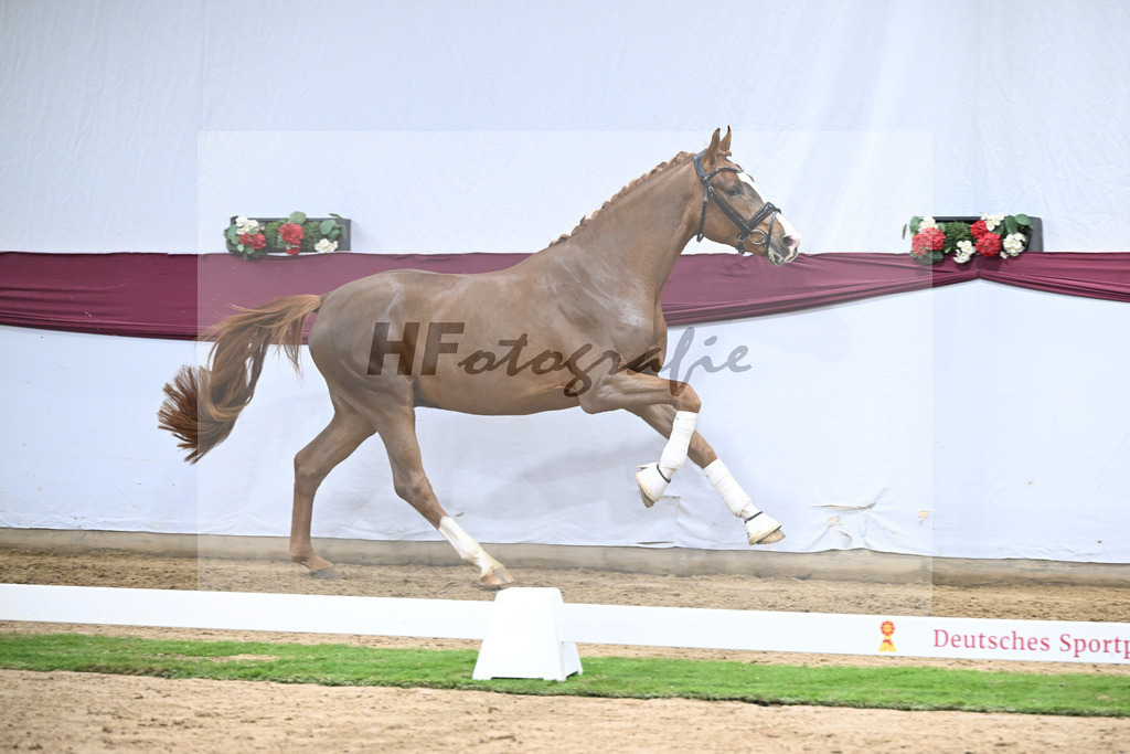 Kat-Nr. 115 Secret x Fidermark_Frieder Heilemann_47254392 | hf-fotografie - Realisiert mit Pictrs.com