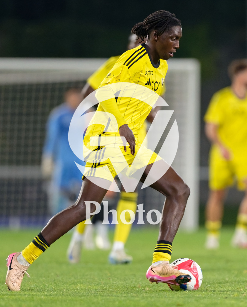 dieci Challenge League - FC Stade Nyonnais v FC Wil 1900 |  during the dieci Challenge League match between FC Stade Nyonnais and FC Wil 1900 at Centre sportif de Colovray in Nyon, Switzerland