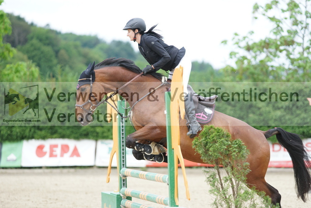 DSC07653 | equestrian-live-com