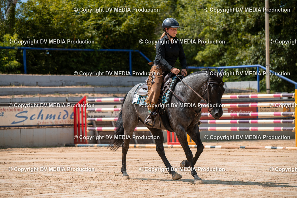 ZS2_8242 | dv-media-shop - Realisiert mit Pictrs.com