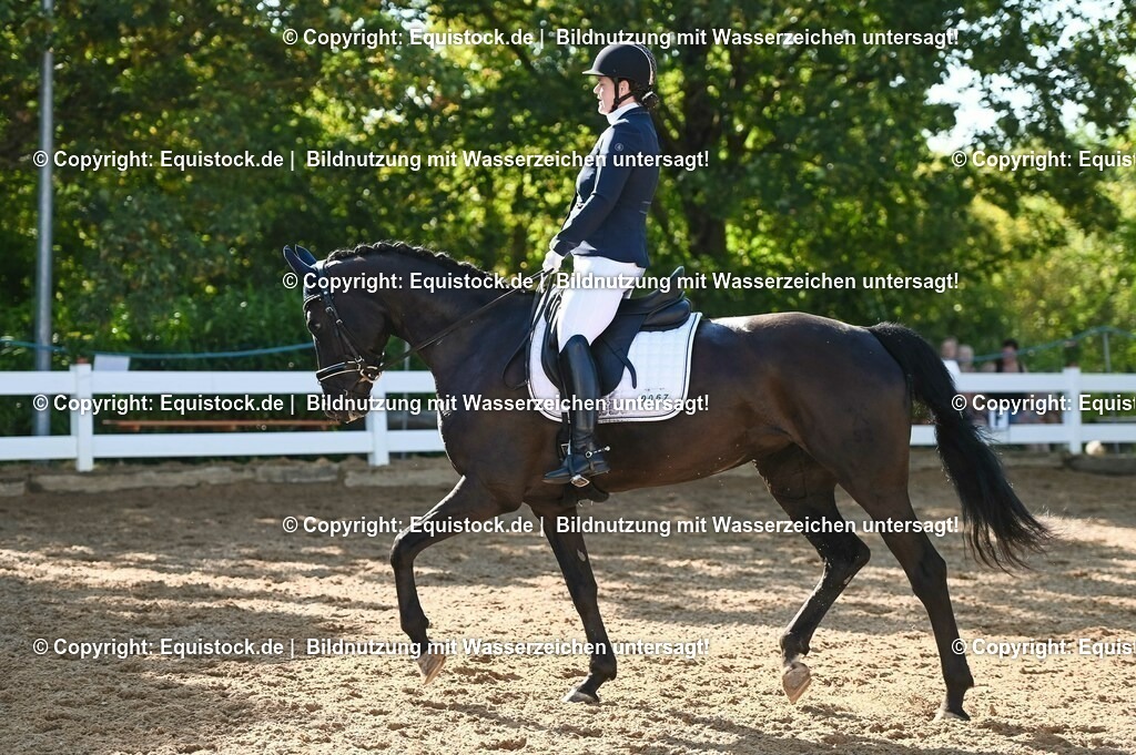 20230715_06_Dressurpferdeprfg. Kl.A_0170 | equistock