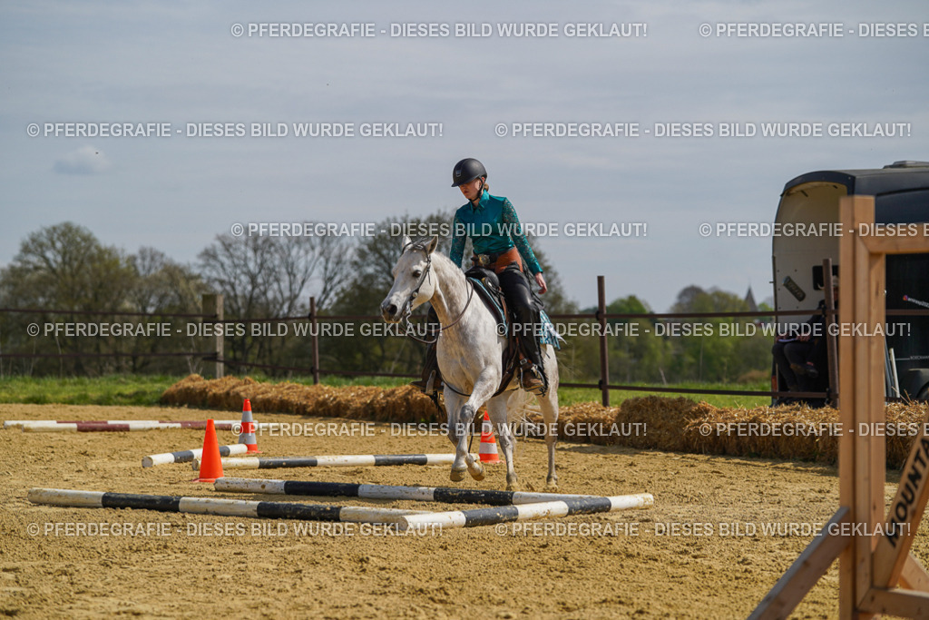 DSC04604 | Pferdegrafie