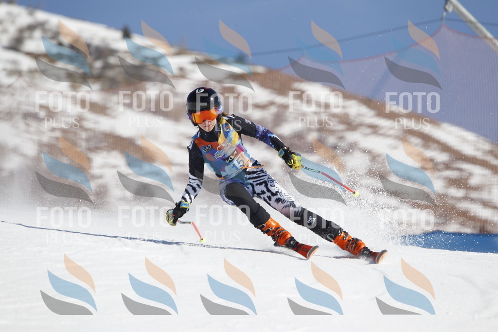 _U3G8746 | holidayphoto