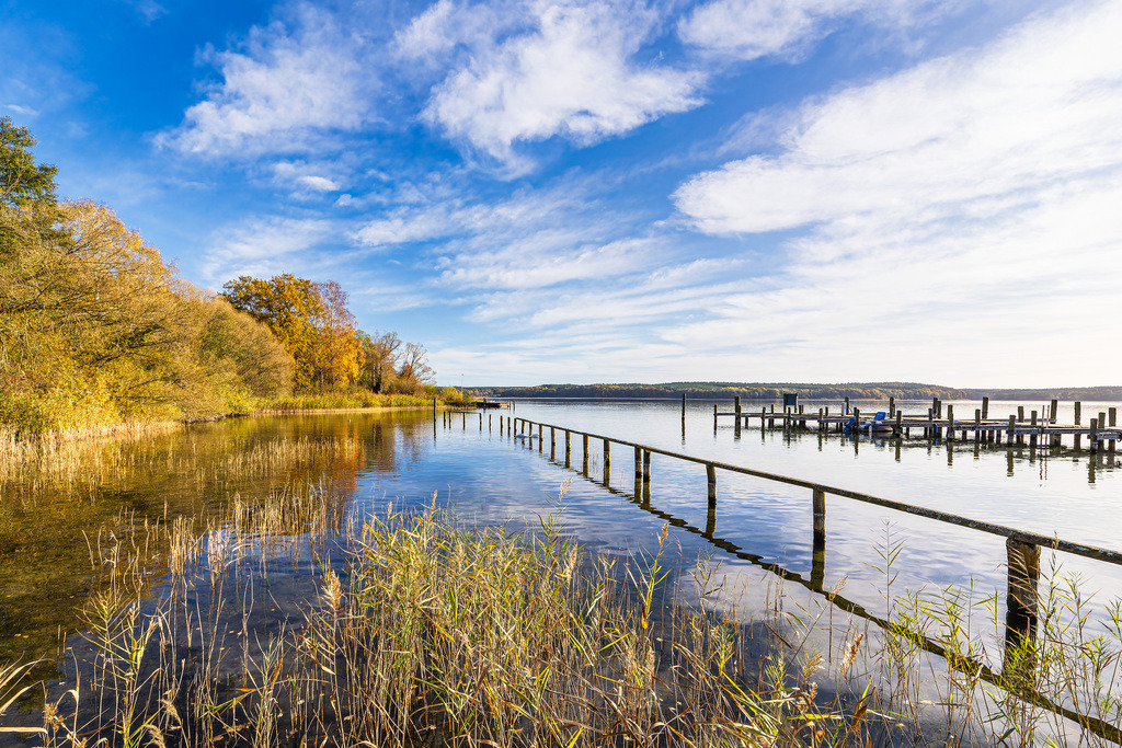 Steg und Baum am Plauer See in der Stadt Plau am See | Steg und Baum am Plauer See in der Stadt Plau am See.
