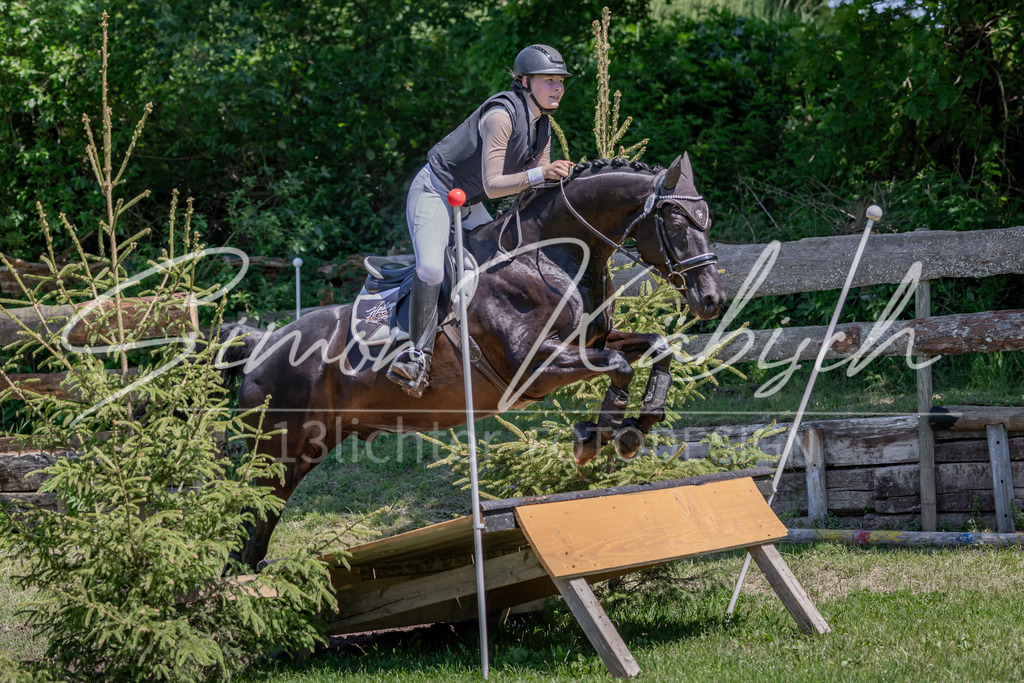 20260523-_3LI8427 | Tierfotografie Pferde, Hunde, Katzen, Haustiere.
Turnierfotografie Reitturniere, Reiten, Springreiten, Dressur in Hanau, dem Main-Kinzig-Kreis und dem Rhein-Main- Gebiet um Frankfurt
