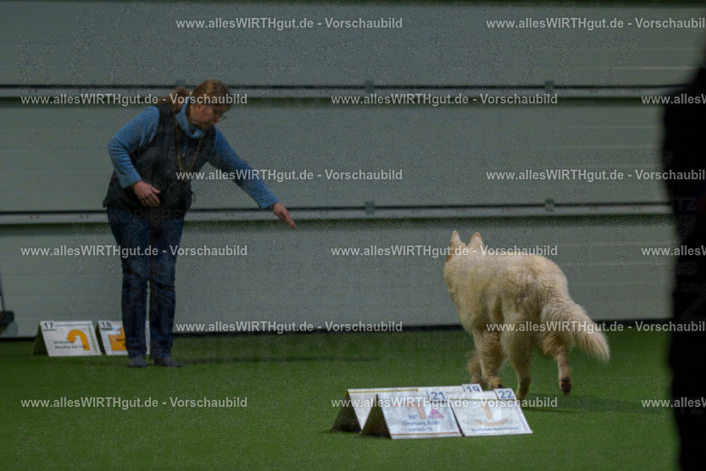 7R500196 | Professionelle Tierfotografie in Mönchengladbach von Daniel Wirth (allesWIRTHgut). Liebevolle & natürliche Bilder von Hunden & Katzen für unvergessliche Erinnerungen.