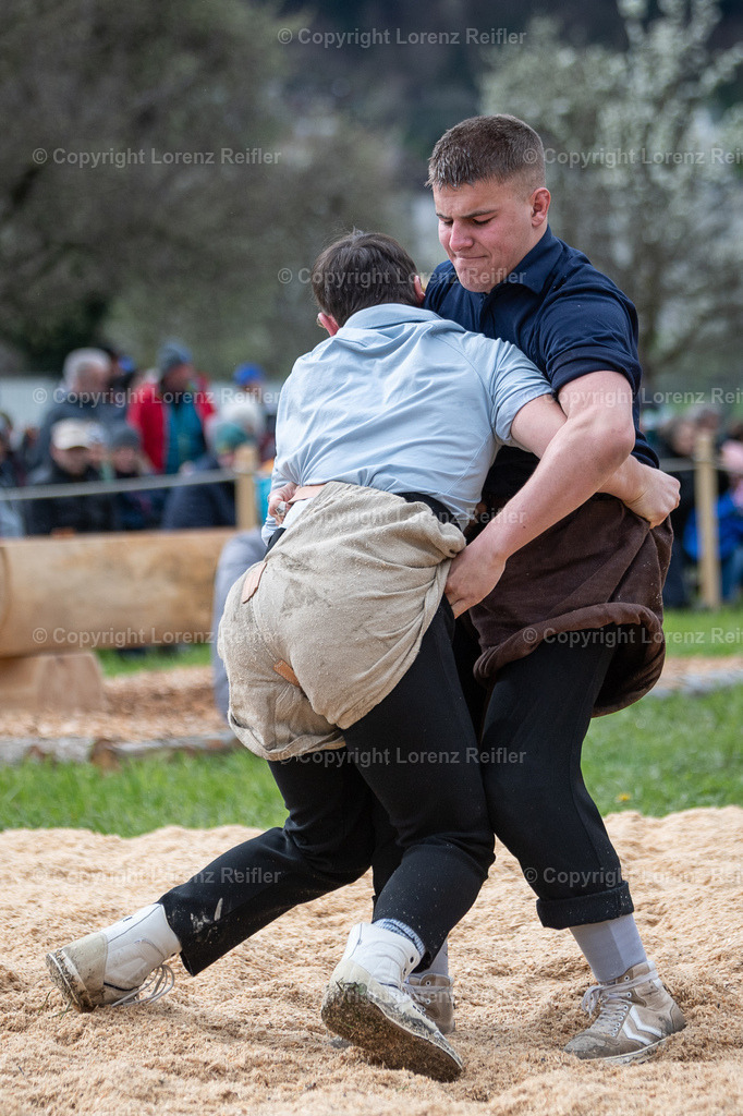 Schwingen -  Rheintal-Oberländer 2024 | Trübbach, 24.3.24, Schwingen - Rheintal-Oberländer.