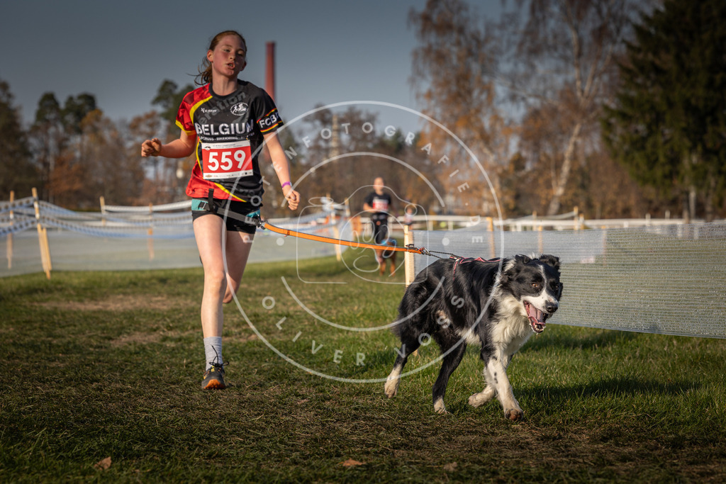CaniXpix_0L8A9307 | Hundefotografie, Tierfotograf, Pfotenfotografie, Fotoshooting Hund, Hunde Portrait, Hundesport, Hundeportraits, Heideshooting, Hunde, Sportfotograf, Hundefotograf, Turnierhundsport, THS,  - Realisiert mit Pictrs.com