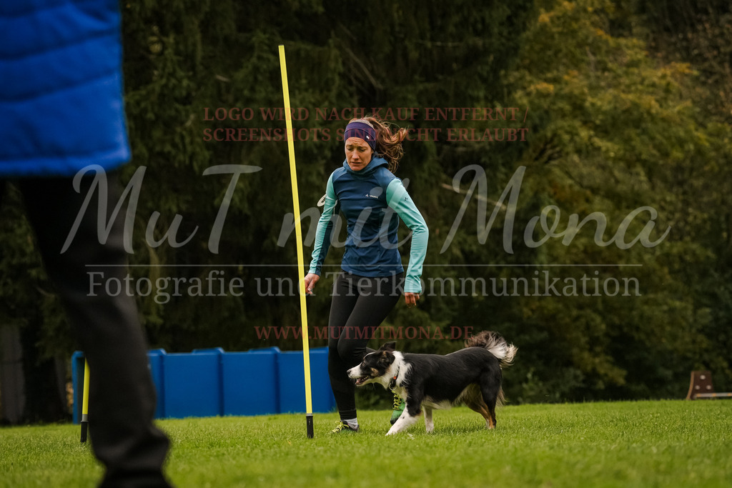 20251005_THS_Turnier-555 | MuT (Mensch und Tier) mit Mona - Fotografie und Tierkommunikation - Realisiert mit Pictrs.com