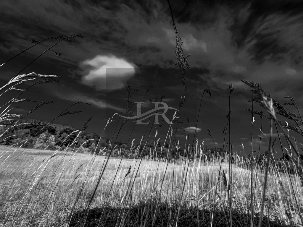 IMG_20220717_170638 | hdrpl - Realisiert mit Pictrs.com