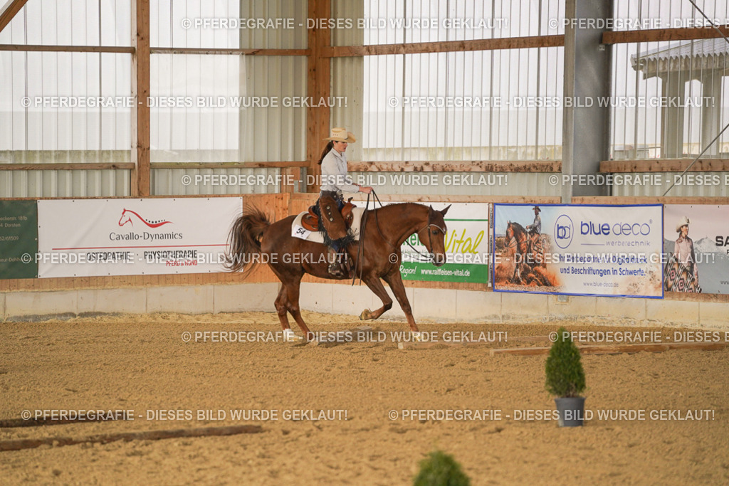 DSC01538 | Pferdegrafie