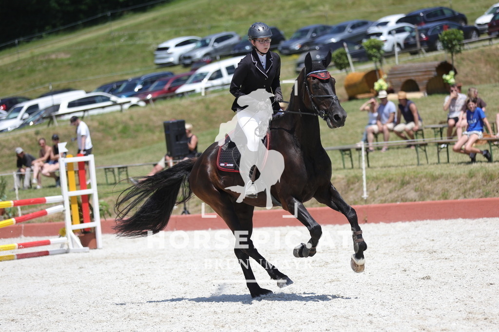 0P6A9211 | Willkommen bei Brunnmayr - Design & Fotografie – Ihrem Spezialisten für Reitturniere und Pferdeveranstaltungen in Oberösterreich, Salzburg und Bayern! Seit über 17 Jahren sind wir leidenschaftlich dabei.