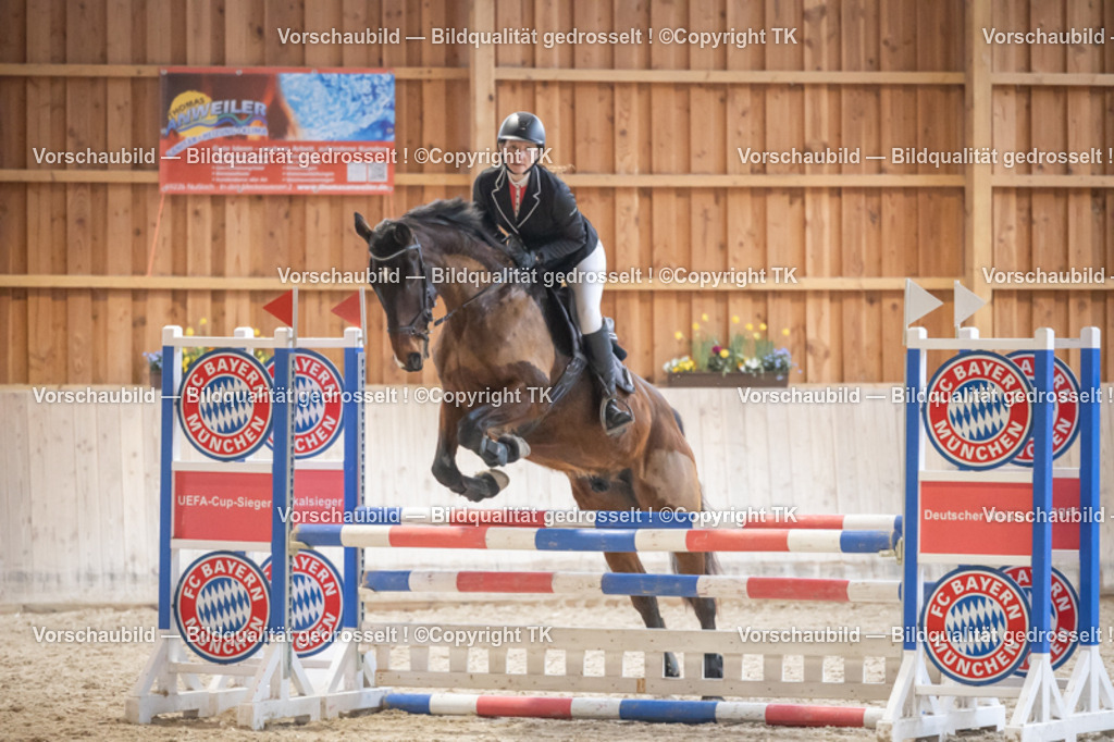 _D5A7806 | Emotionale Pferde- & People-Fotografie rund um Heidelberg, Leimen & Umgebung. Natürliche Fotos von Pferd, Mensch & Familie. Jetzt Termin sichern!