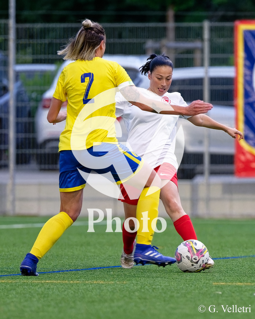 DSC_0104 | Velletri Photo