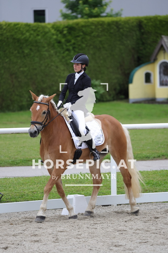 0P6A7094 | Willkommen bei Brunnmayr - Design & Fotografie – Ihrem Spezialisten für Reitturniere und Pferdeveranstaltungen in Oberösterreich, Salzburg und Bayern! Seit über 17 Jahren sind wir leidenschaftlich dabei.