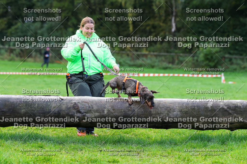 Dog Paparazzi -  SD1026-1160 | Dog Paparazzi Jeanette Grottendiek Fotografie & Videografie - Realisiert mit Pictrs.com