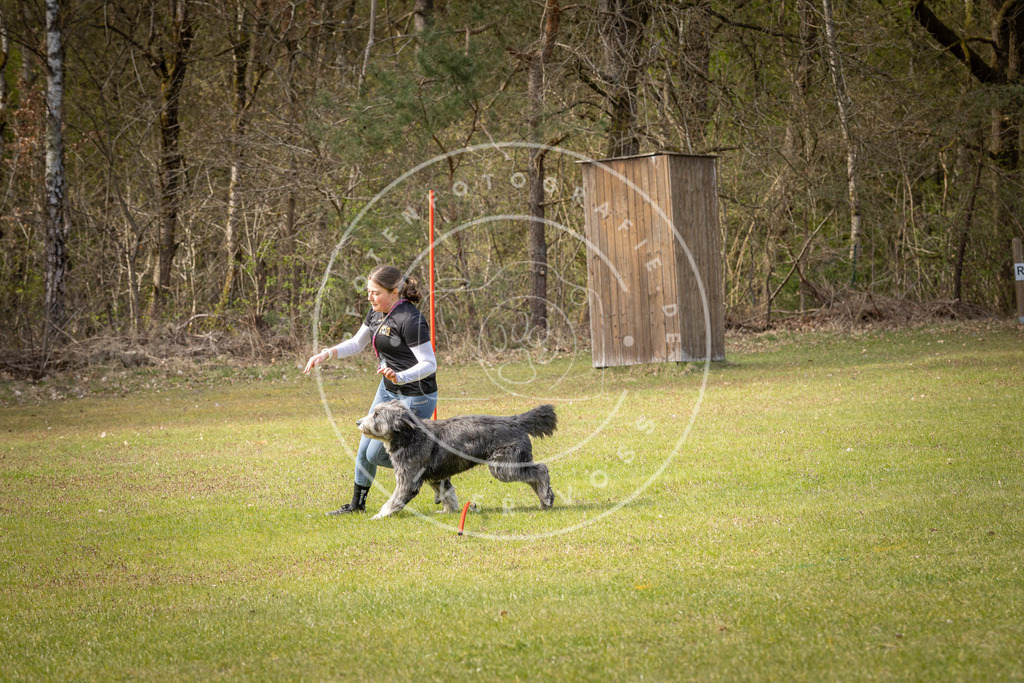 Pfotenfotografie_DV3A7401 | Hundefotografie, Tierfotograf, Pfotenfotografie, Fotoshooting Hund, Hunde Portrait, Hundesport, Hundeportraits, Heideshooting, Hunde, Sportfotograf, Hundefotograf, Turnierhundsport, THS,  - Realisiert mit Pictrs.com