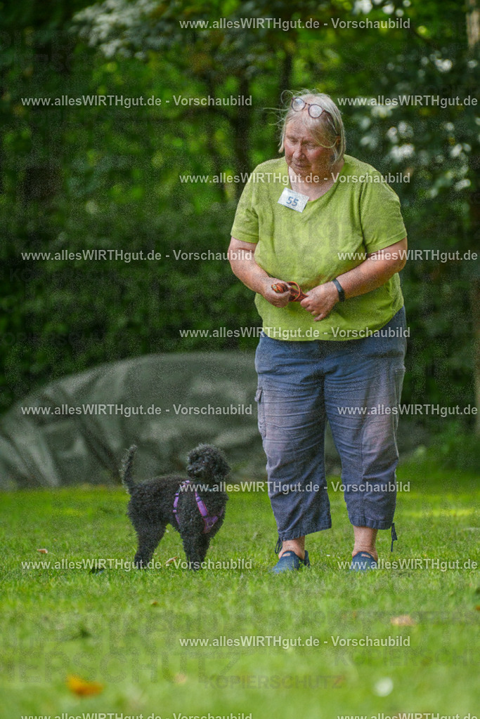 @allesWIRTHgut_Tierfotografie - www.allesWIRTHgut.de - 7R500982 | Professionelle Tierfotografie in Mönchengladbach von Daniel Wirth (allesWIRTHgut). Liebevolle & natürliche Bilder von Hunden & Katzen für unvergessliche Erinnerungen.