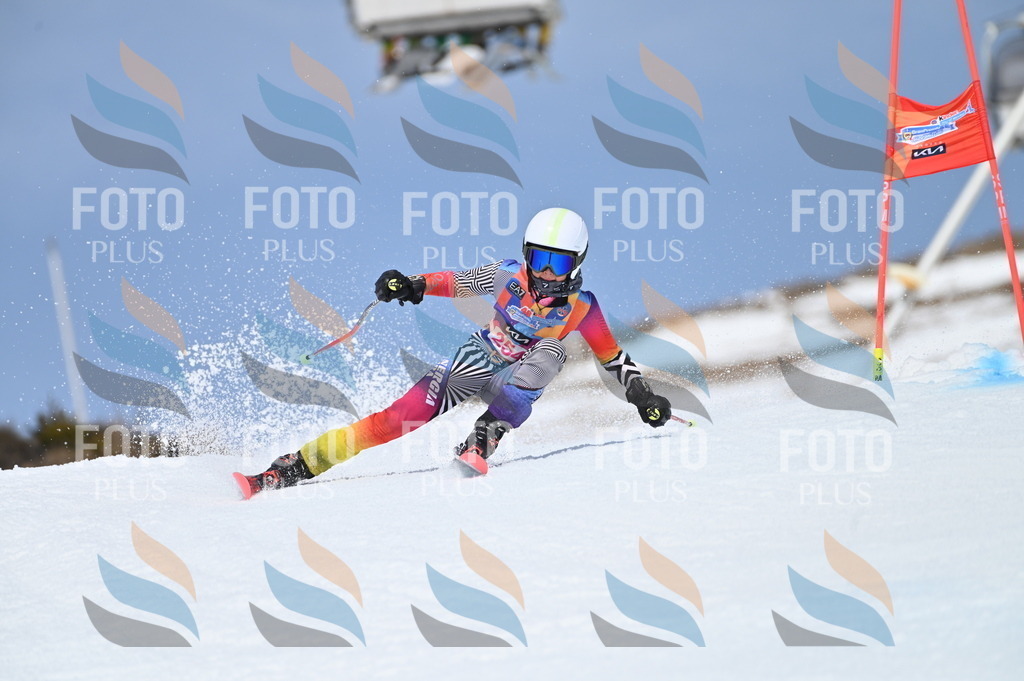 BGV_1953 | holidayphoto